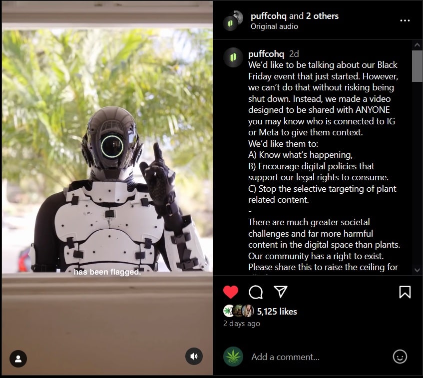 Warum Meta und Instagram Cannabis-Inhalte blockieren